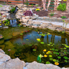Do-It-Yourself Ponds: Create A Unique Outdoor Space