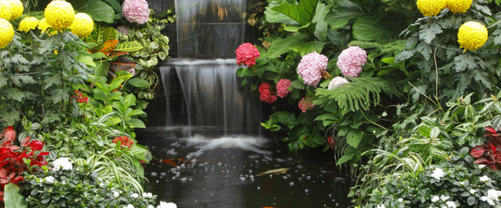 Water Feature Pond surrounded by Limestone Paving